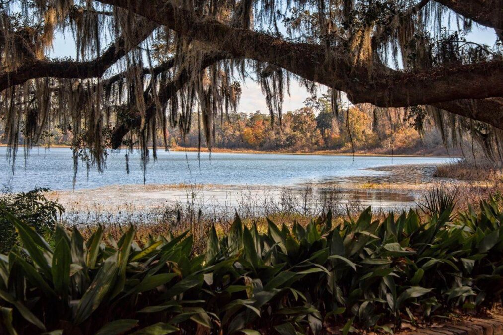 Scenic View of Lake Overstreet at Alfred B. Maclay Gardens State Park