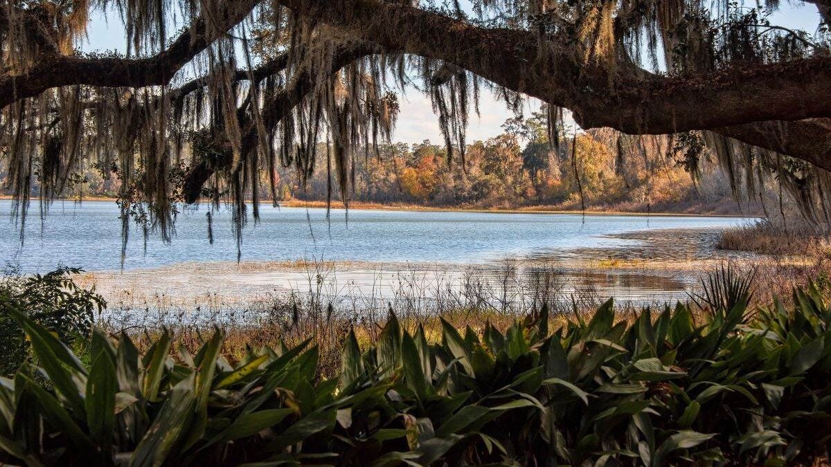 Scenic View of Lake Overstreet at Alfred B. Maclay Gardens State Park