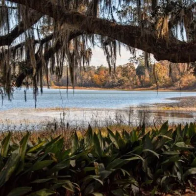 Alfred B Maclay Gardens State Park