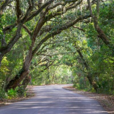 Amelia Island State Park