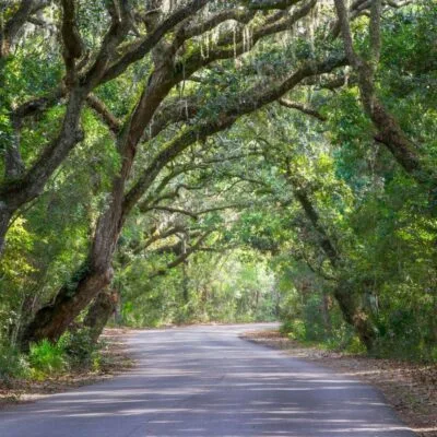 Amelia Island State Park