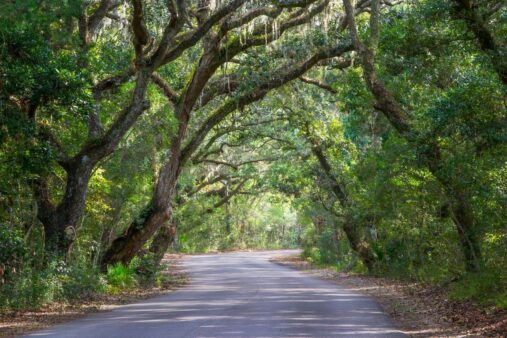 Amelia Island State Park