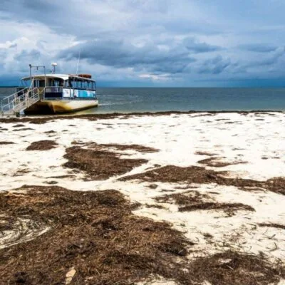 Anclote Key Preserve State Park