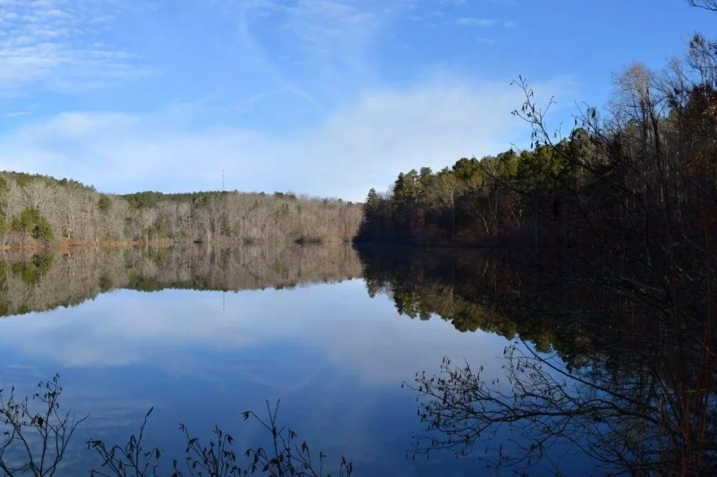 trees reflecting in the water at Big Hill Pond State Park