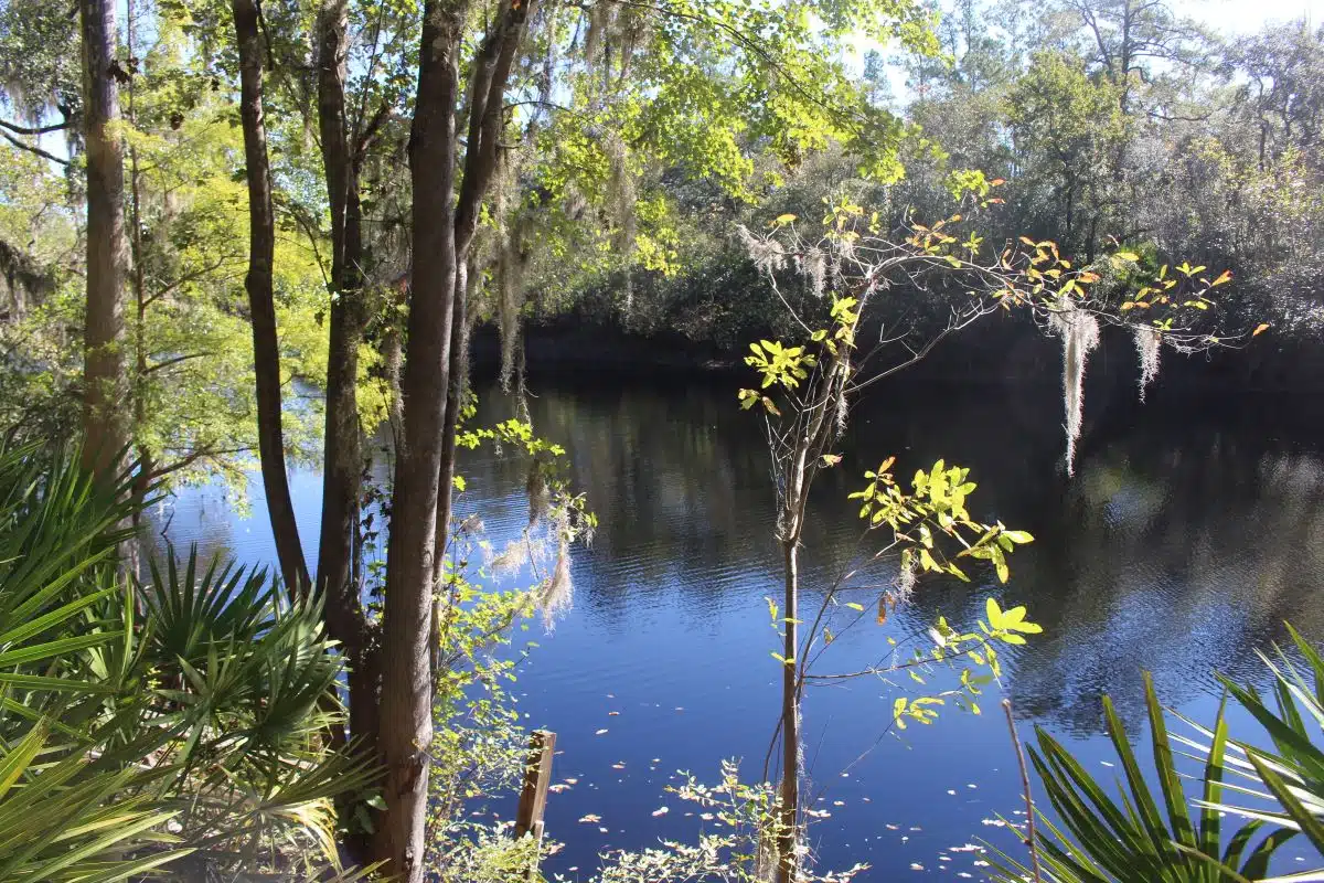 Big Shoals State Park