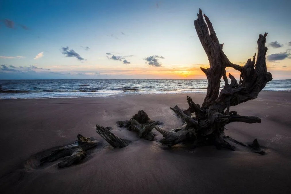 Sunrise at the boneyard beach in Talbot Island