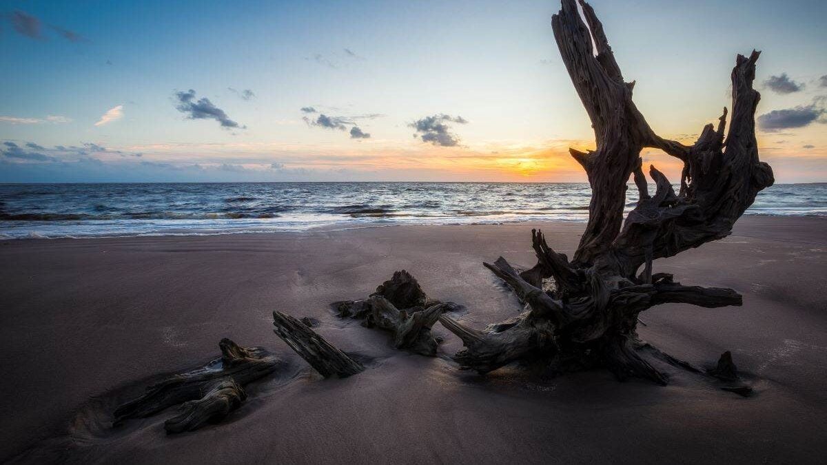 Sunrise at the boneyard beach in Talbot Island