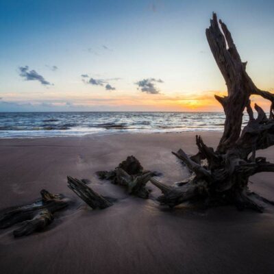 Big Talbot Island State Park