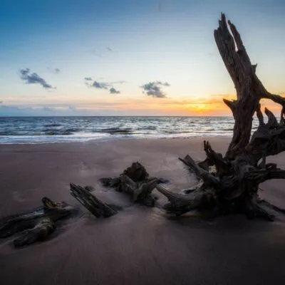 Big Talbot Island State Park