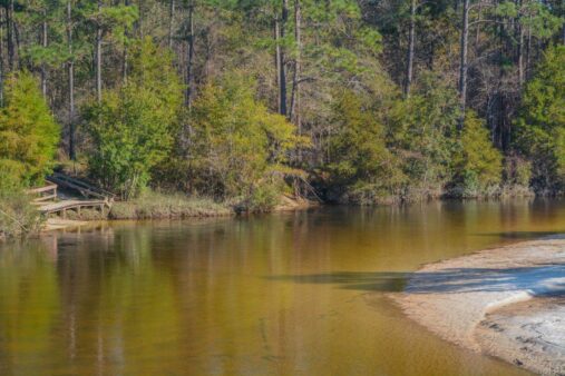 Blackwater River State Park