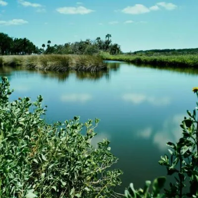 Bulow Creek State Park
