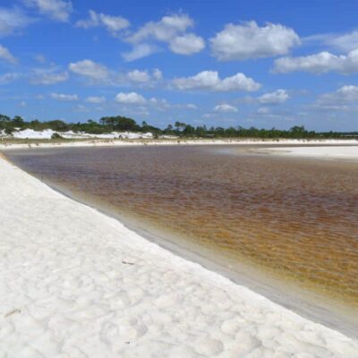 Camp Helen State Park