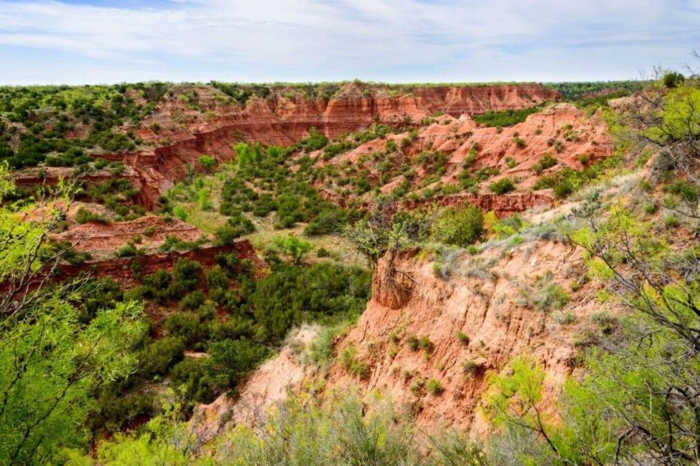 scrubby landscape at Caprock Canyons State Park and Trailway