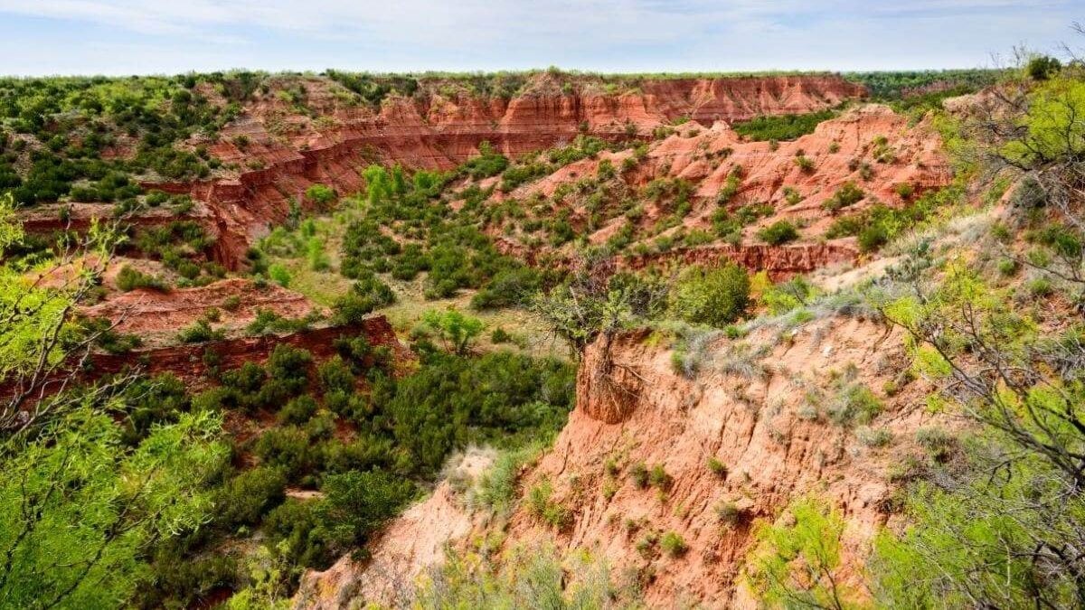 scrubby landscape at Caprock Canyons State Park and Trailway