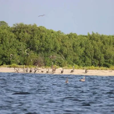 Cayo Costa State Park