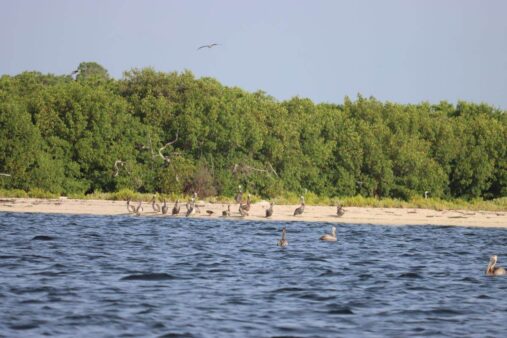 Cayo Costa State Park