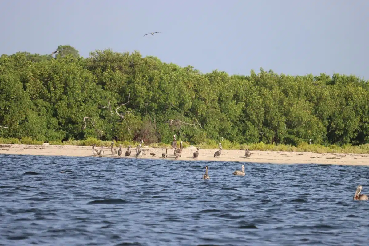Cayo Costa State Park