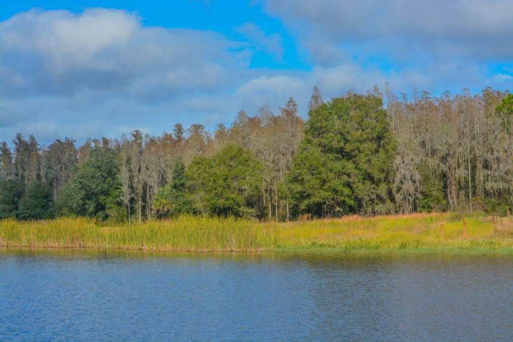 The shoreline of Mac Lake in Colt Creek State Park