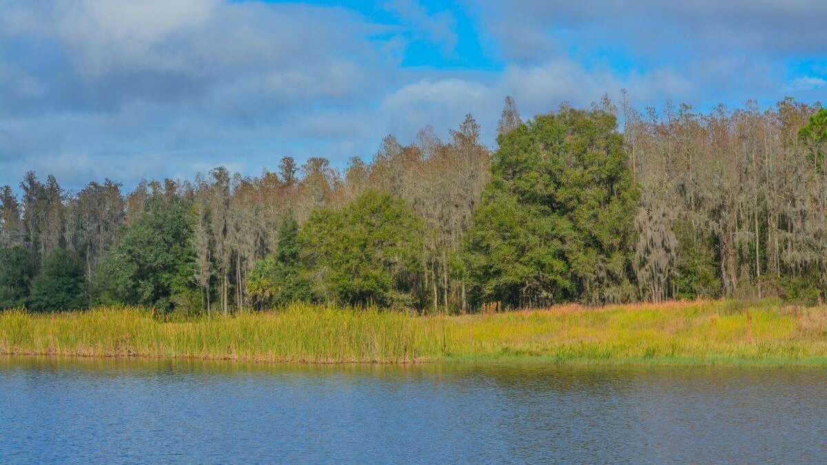 The shoreline of Mac Lake in Colt Creek State Park