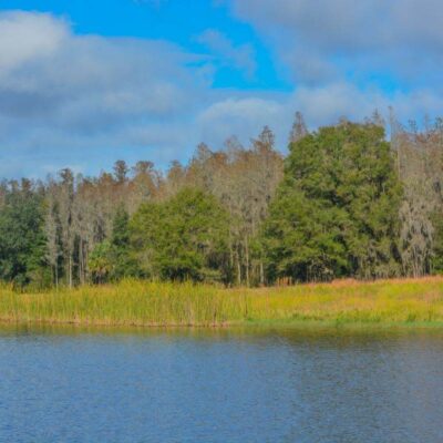 Colt Creek State Park
