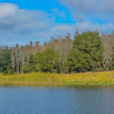 Colt Creek State Park