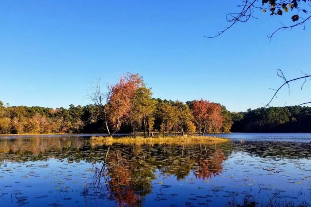 little island in the lake at Daingerfield State Park
