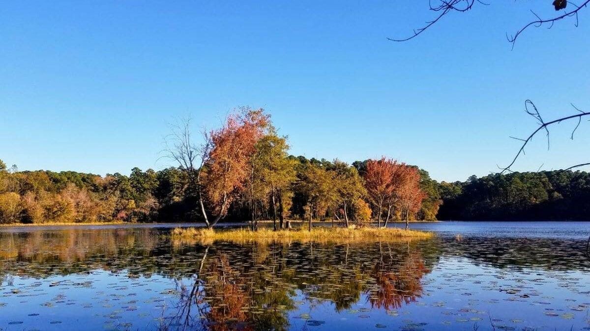 little island in the lake at Daingerfield State Park