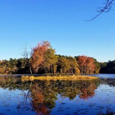 Daingerfield State Park