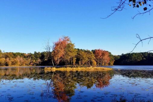 Daingerfield State Park