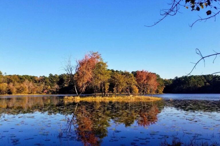 Daingerfield State Park