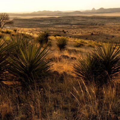 San Jacinto Battleground State Historic Site
