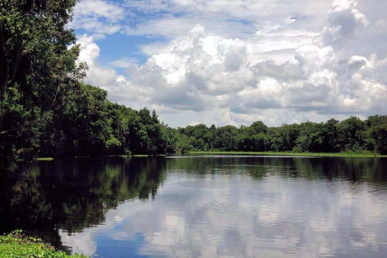 De Leon Springs State Park