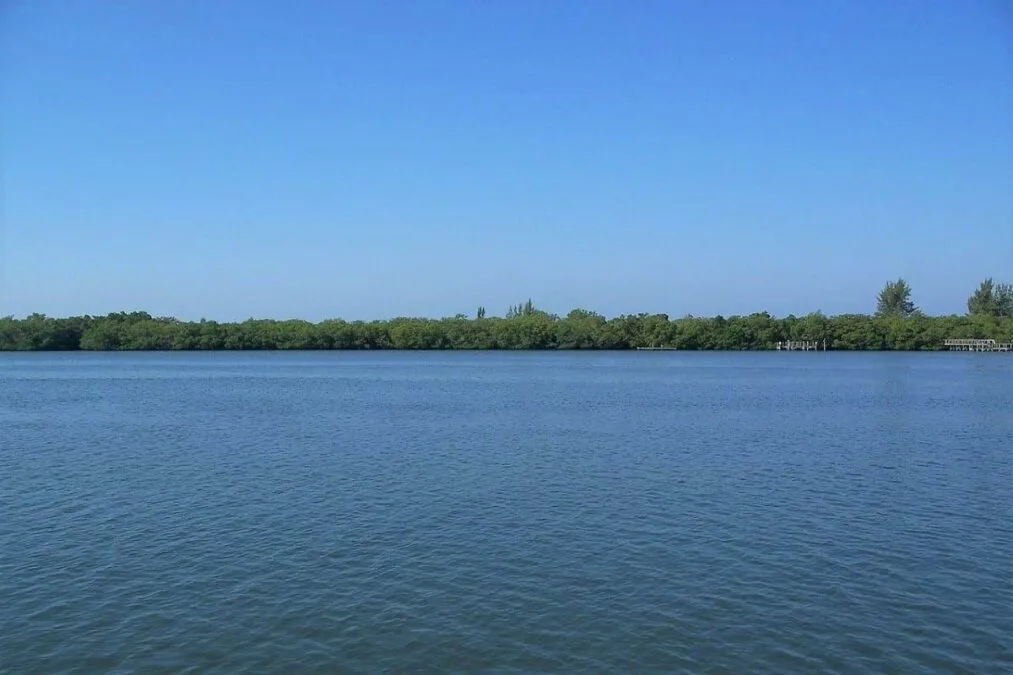 Clear sky over the water at Don Pedro Island State Park