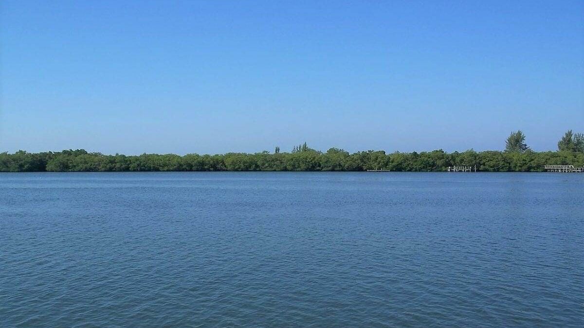 Clear sky over the water at Don Pedro Island State Park