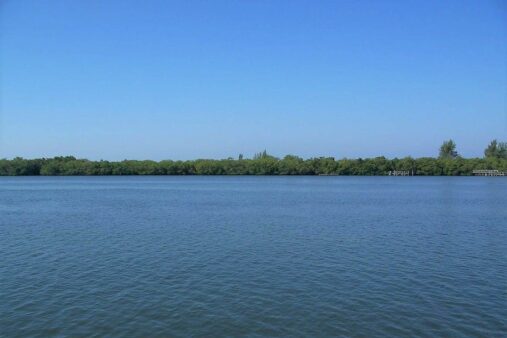 Don Pedro Island State Park
