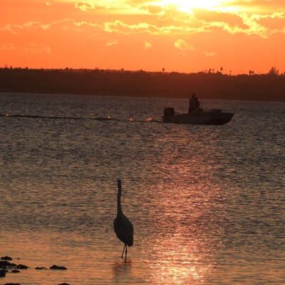Port Aransas Nature Preserve