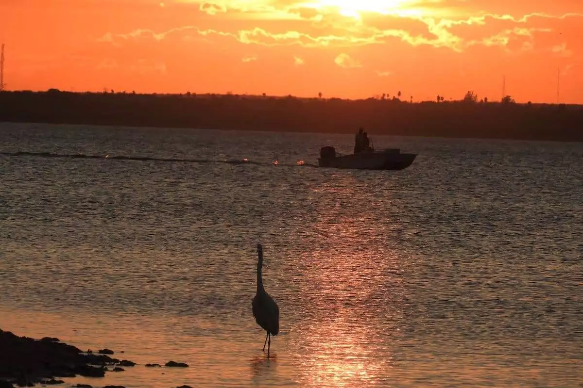 Boat on Falcon International Reservoir at Falcon State Park at sunset.