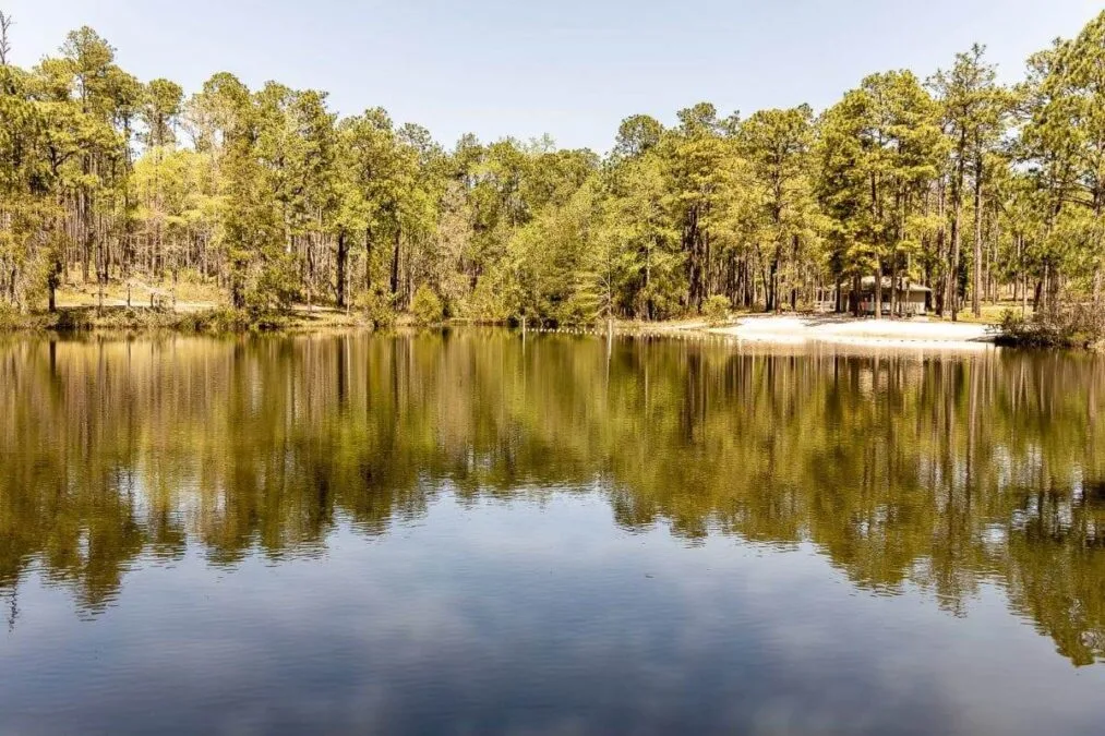 Trees reflecting in the lake at Falling Waters State Park