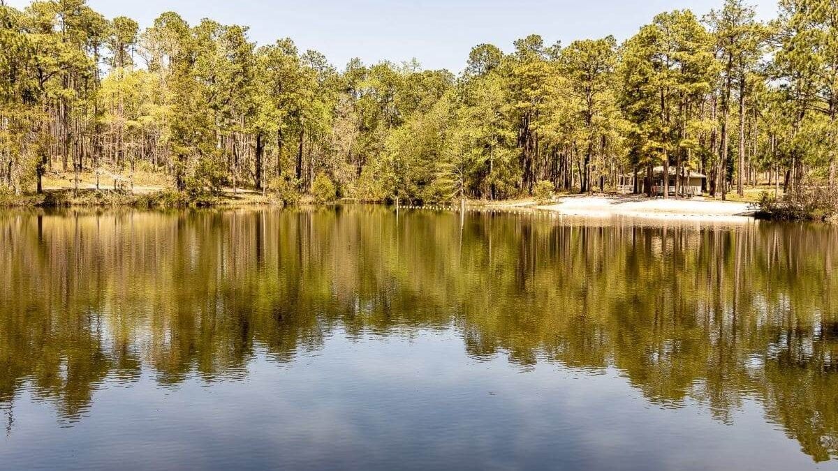 Trees reflecting in the lake at Falling Waters State Park