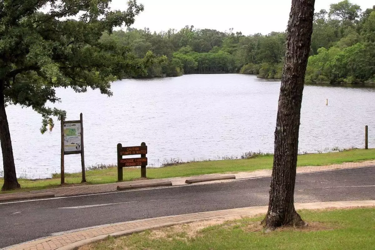 Fort Boggy State Park In Centerville, TX | America's State Parks