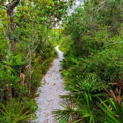 Grayton Beach State Park