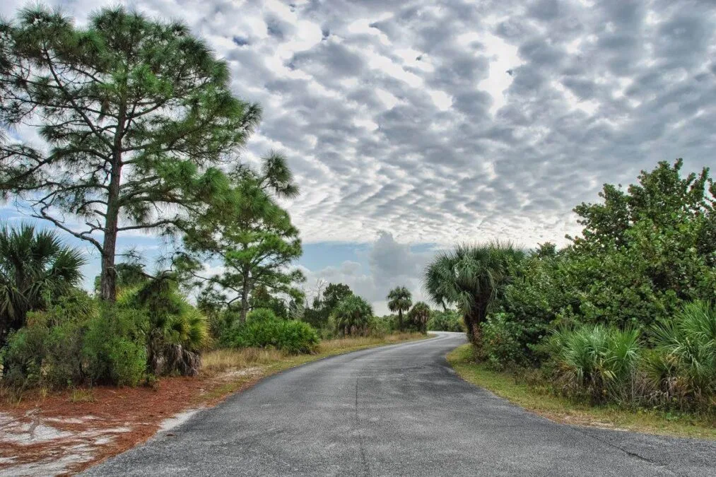 a road at Honeymoon Island State Park in Florida