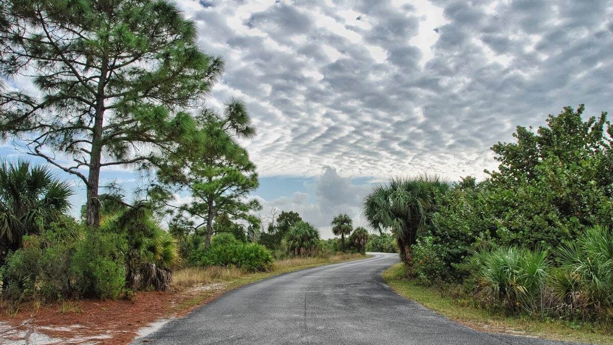 a road at Honeymoon Island State Park in Florida