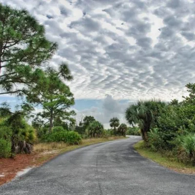 Honeymoon Island State Park
