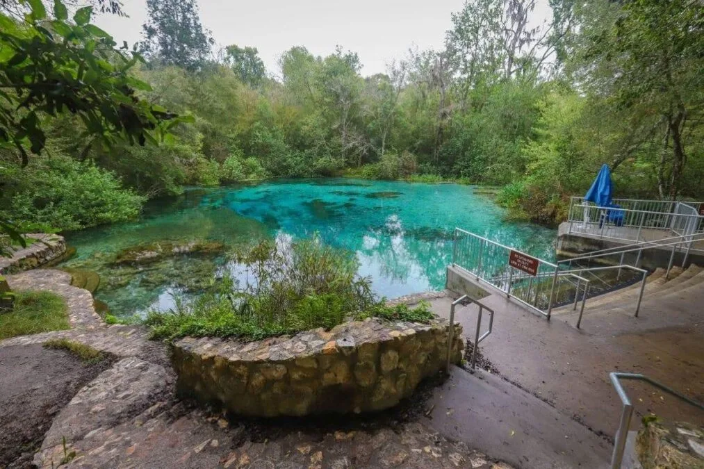 swimming hole at Ichetucknee Springs State Park