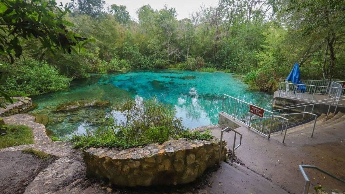 swimming hole at Ichetucknee Springs State Park