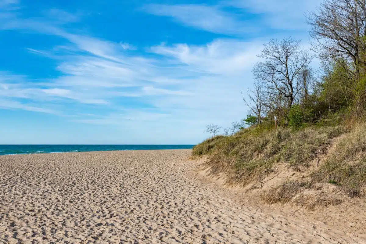 Beachfront along Lake Michigan in Indiana Dunes State Park