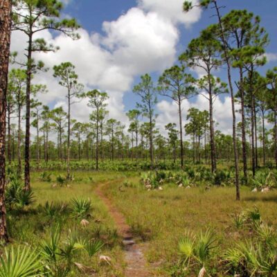 Jonathan Dickinson State Park