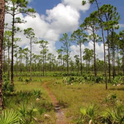 Jonathan Dickinson State Park