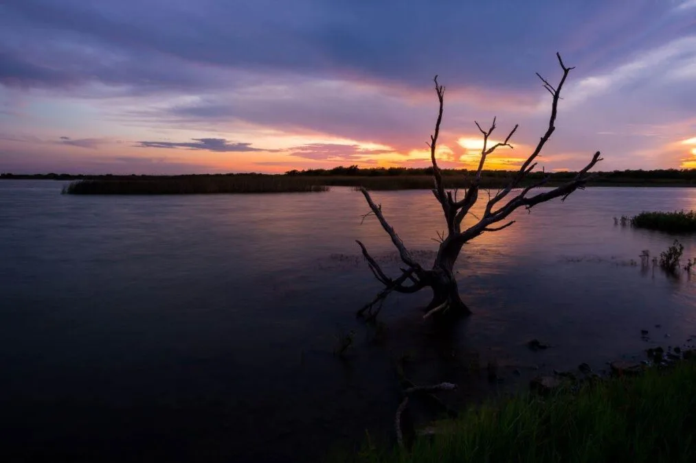 Dead tree in water against sunset at Lake Arrowhead State Park